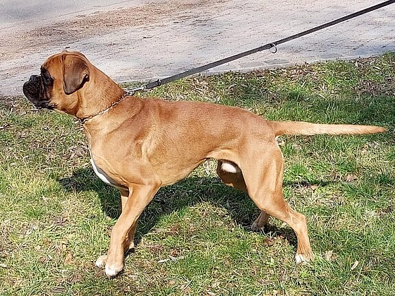 Heinz vom Würdethal