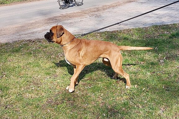 Heinz vom Würdethal