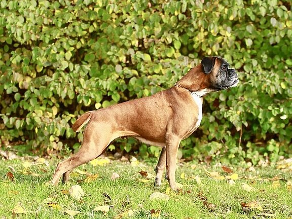 Brenda von Arkenow Brenda von Arkenow